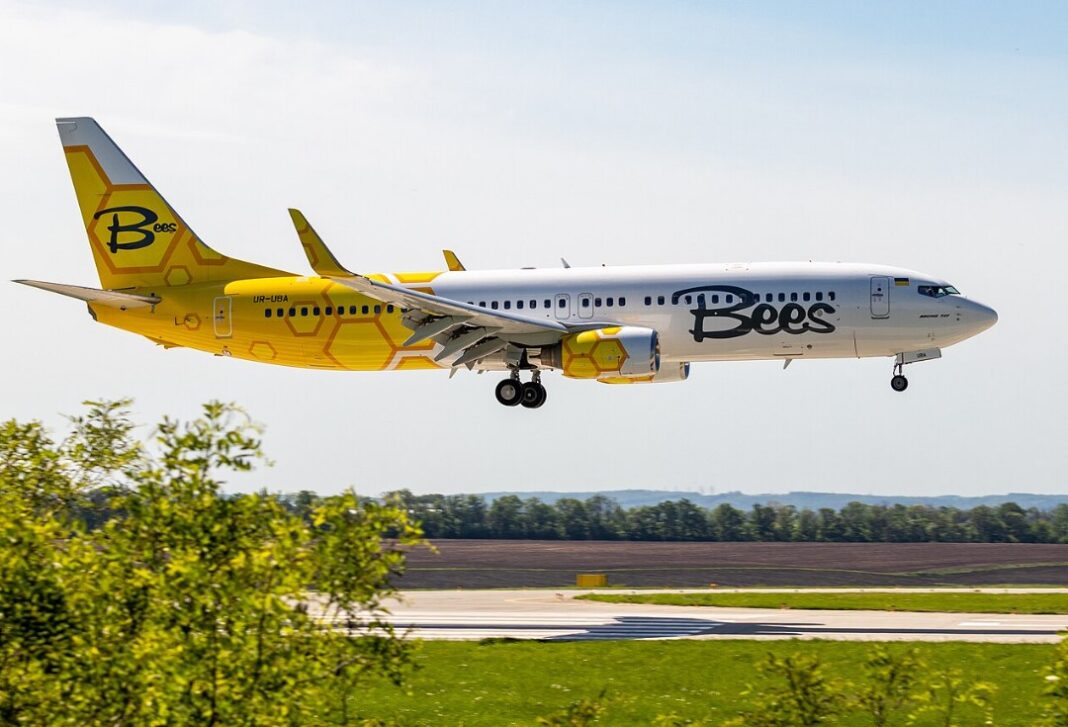 Українська авіакомпанія Bees Airline збанкрутіла