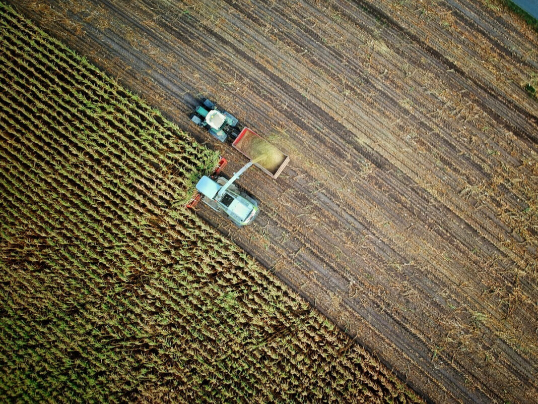 Сільське господарство / Фото: Unsplash